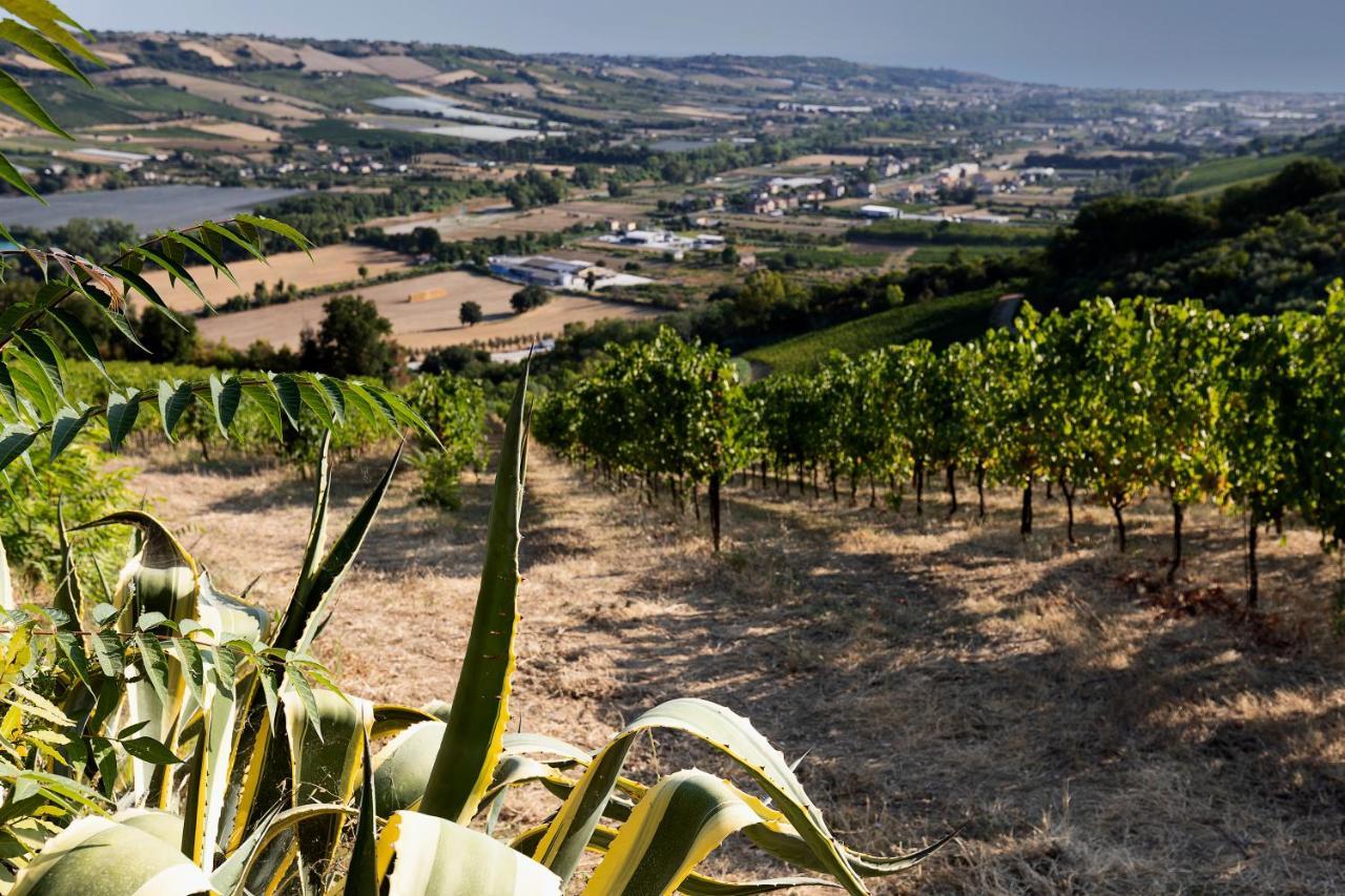 La Dolce Vallata Montefiore dellʼAso Kültér fotó